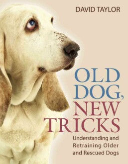 Old Dog, New Tricks