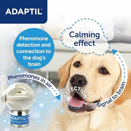 Illustration of Adaptil pheromone diffuser calming a dog.