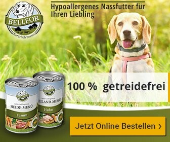 Advertisement for Bellfor hypoallergenic dog food, grain-free options available.