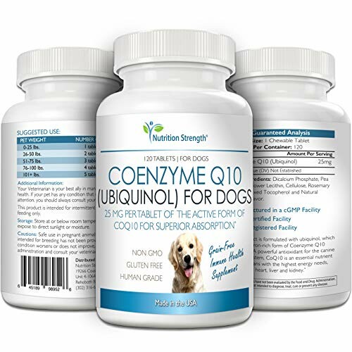 Coenzyme Q10 supplement for dogs, 120 tablets by Nutrition Strength.