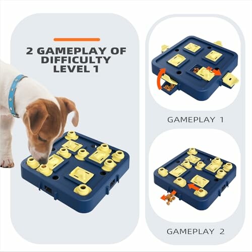 Dog interacting with a level 1 puzzle toy featuring two gameplay modes.