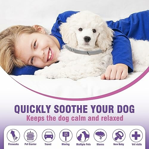 Child hugging dog wearing calming collar with soothing benefits.