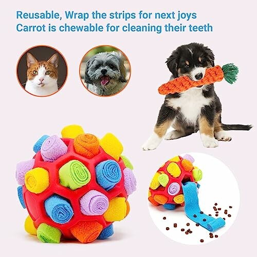 Pet toys including a colorful ball and a carrot for dogs, with images of a cat, a small dog, and a puppy playing with the carrot toy.