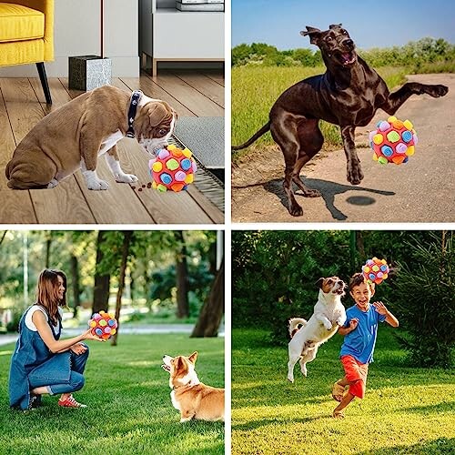 Dogs and a child playing with a colorful ball in various outdoor and indoor settings.