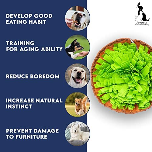 Benefits of pet training with images of dogs and activities.