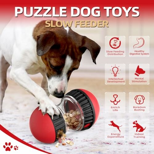 Dog playing with a red and black puzzle feeder toy, promoting benefits like slow feeding, mental stimulation, and indoor training.