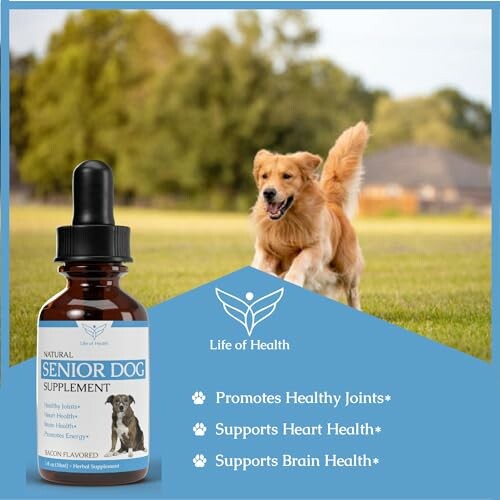 Senior dog supplement bottle with benefits for joints, heart, and brain health.