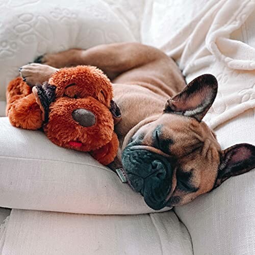 A dog sleeping with a plush toy on a white cushion.