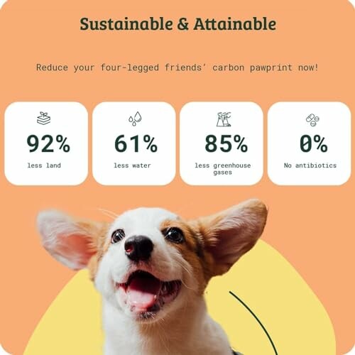 Infographic showing sustainable pet food benefits with a happy dog