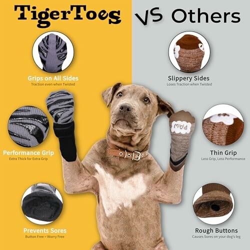 Dog wearing mismatched socks comparing TigerToes with other brands.