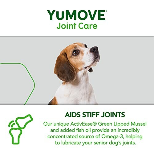 Dog joint care product promoting mobility support.